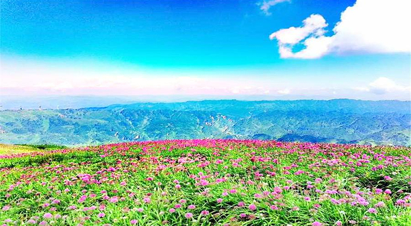 阿西里西韭菜坪