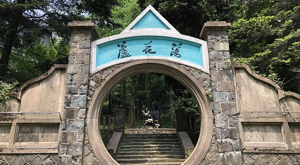 芦花荡