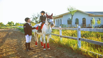 酬勤马术俱乐部