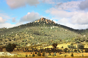 特宾比拉自然保护区