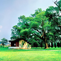 共和国摇篮旅游区-叶坪景区
