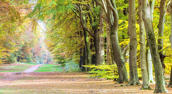 高费吕韦国家公园