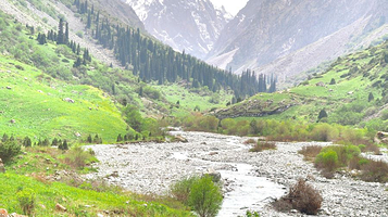 阿拉尔恰国家森林公园