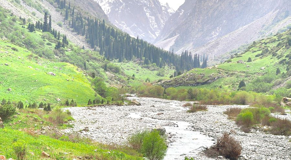 阿拉尔恰国家森林公园