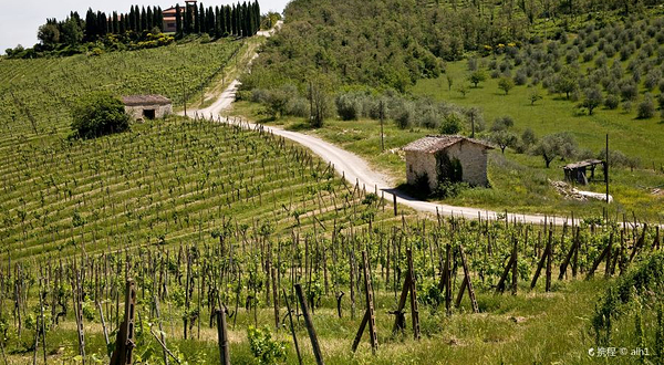 加约莱因基安蒂