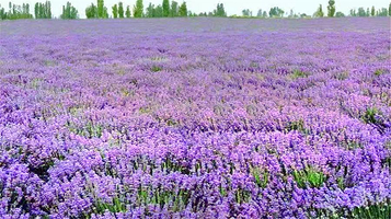 哒啦仙谷旅游景区