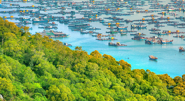 海陵岛大角湾海上丝路旅游区