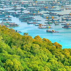海陵岛