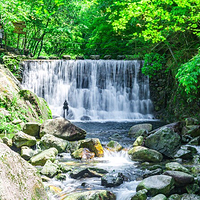 醉山野景区