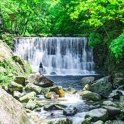 醉山野景区