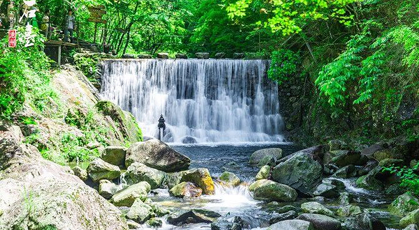 醉山野景区