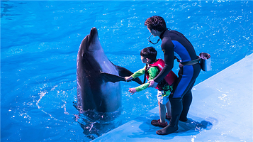 老虎滩极地海洋动物馆