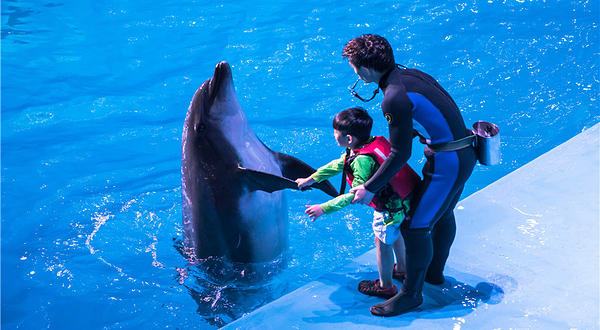 老虎滩极地海洋动物馆