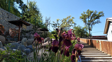 甘肃省武山矿泉疗养院