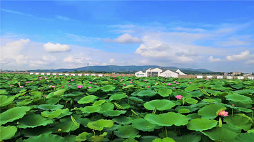 湖北花涧谷生态旅游有限公司