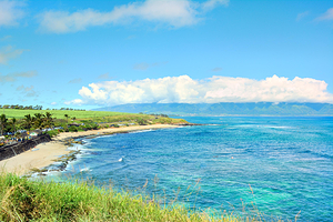 霍欧奇帕海滩公园