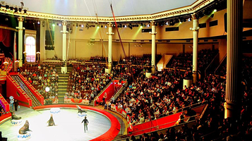 莫斯科尼库林马戏团