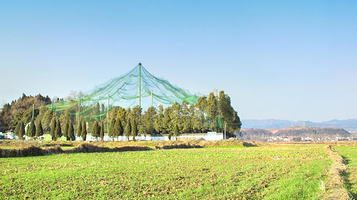 汉中洋县朱鹮自然保护区