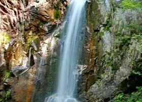 桃花冲森林公园