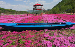 宽甸花韵谷生态园酒店