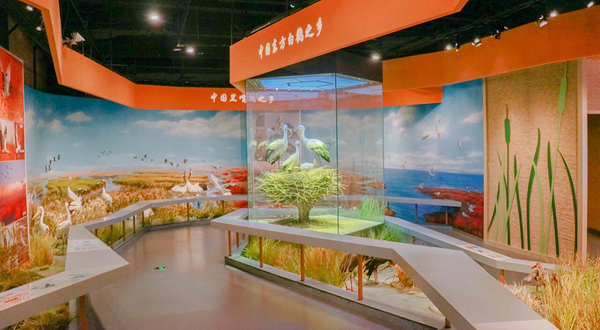 黄河三角洲鸟类博物馆