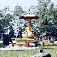 勐景来
