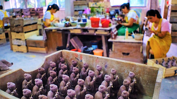 石湾美术陶瓷厂