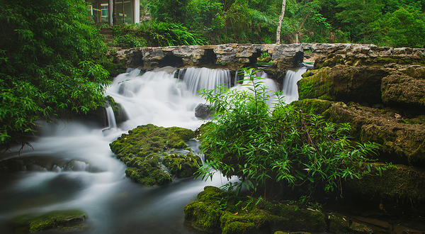 荔波茂兰自然保护区