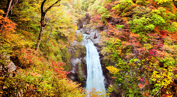 秋保大瀑布