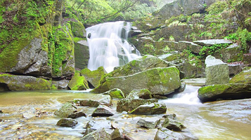 木王国家森林公园