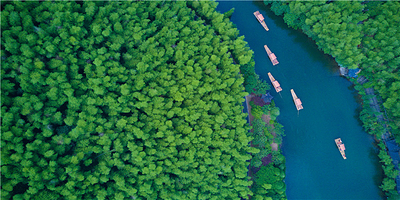 天目湖南山竹海景区