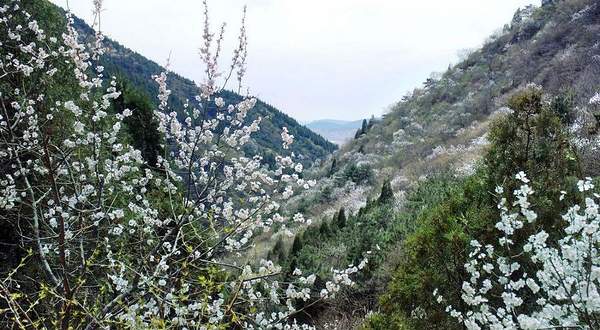 桃花山风景区