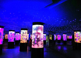 九丰极地海洋馆