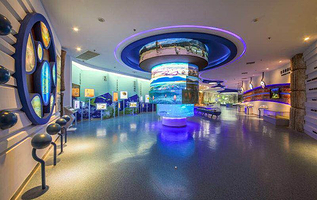 金钉子远古世界景区