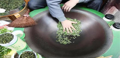 向阳山开国茶园