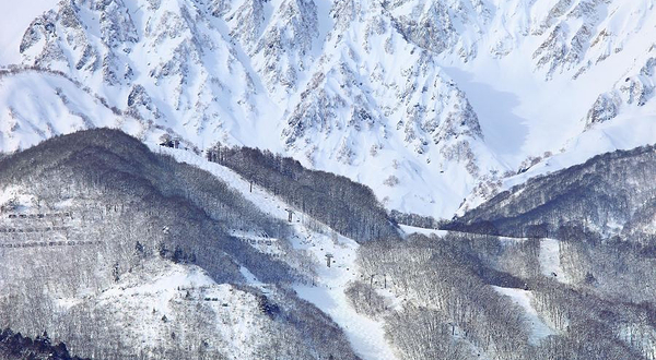 白马八方尾根滑雪场