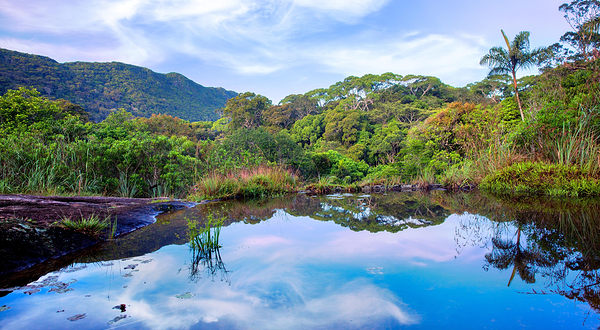 辛哈拉加森林保护区