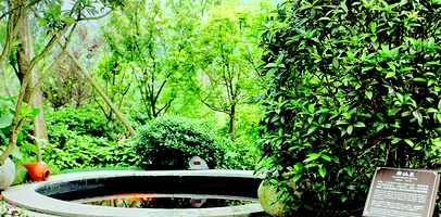 泸州天展温泉水会