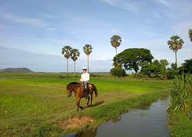 暹粒开心牧马场