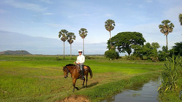 暹粒开心牧马场
