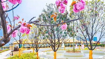 水世界(滨河北路店)