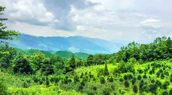 摩围山景区