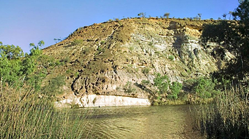 猫王蜜月度假地