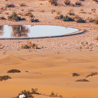 迪拜沙漠冲沙 