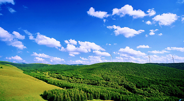 神仙谷七彩森林国际旅游度假区