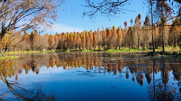 捞渔河湿地公园