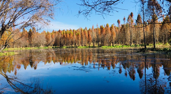 捞渔河国家湿地公园