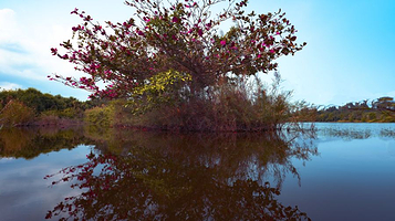海南昌江海尾国家湿地公园