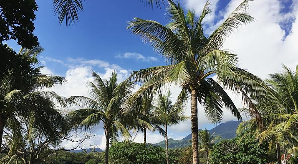 水往上流游憩区