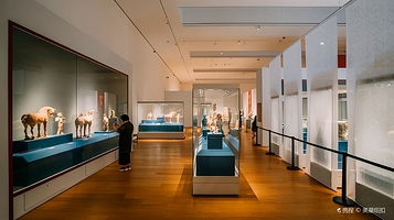 浙江大学艺术与考古博物馆